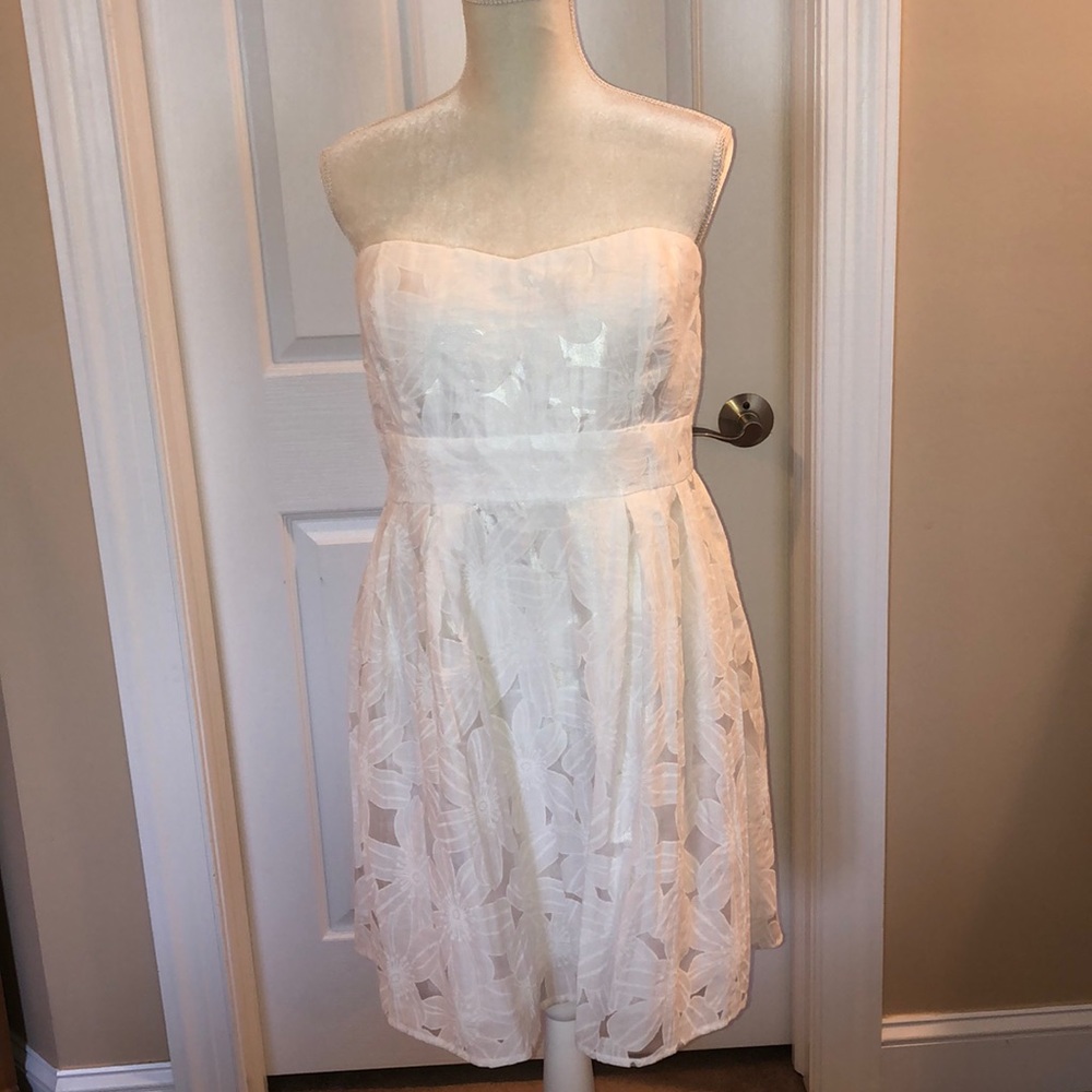 Adorable Charlotte Russe dress, XL